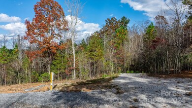 65 Smoothstem Ct unit 85, Nebo, NC 28761 - photo 4