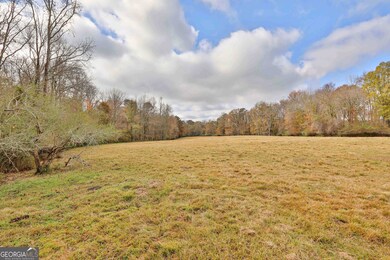 LOT 8 Mask Road - Hanner's Farm S, Brooks, GA 30205 - photo 7