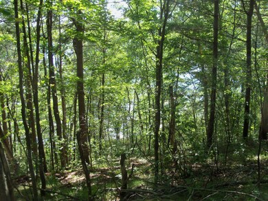 W8092 Cth O, Tomahawk, WI 54487 - photo 7