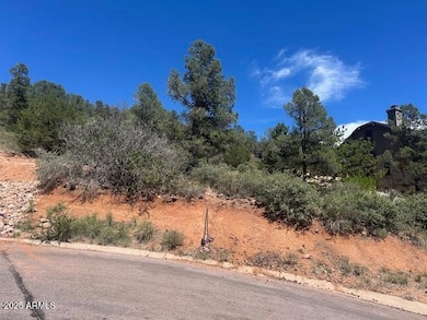 817 N Blue Spruce Cir unit 284, Payson, AZ 85541 - photo 3