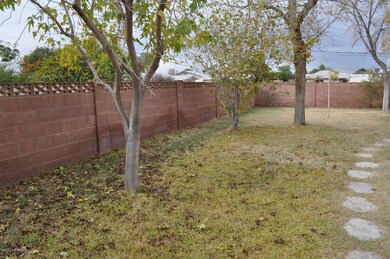 Backyard (4)