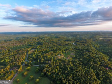 0 Roy Dean Rd unit 10564383, Buchanan, GA 30113 - photo 7