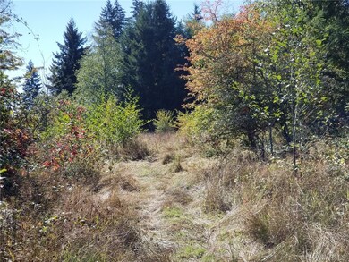 24222 110th Ave E unit A, Graham, WA 98338 - photo 3