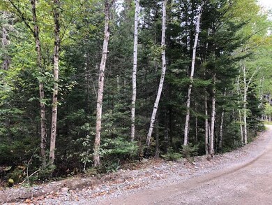 Lot 12 B Duck Cove Rd, Roque Bluffs, ME 04654 - photo 5