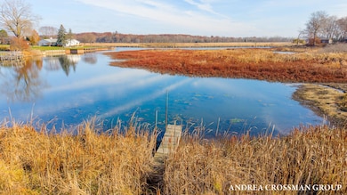 3001 Newport Dr, Fennville, MI 49408 - photo 6