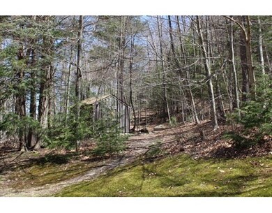1255 Williamsburg Rd, Ashfield, MA 01330 - photo 6