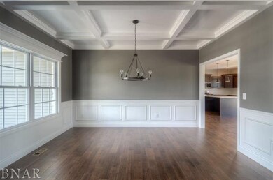 104 Dode, Downs, IL 61736 - photo 3