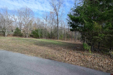 760-25378-000 Canterbury Ln, Bull Shoals, AR 72619 - photo 4