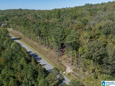 15874 County Highway 26, Blountsville, AL 35031 - photo 3