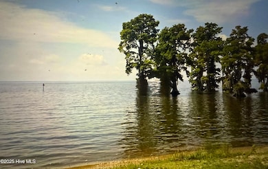 113 Sycamore Cir, Edenton, NC 27932 - photo 2