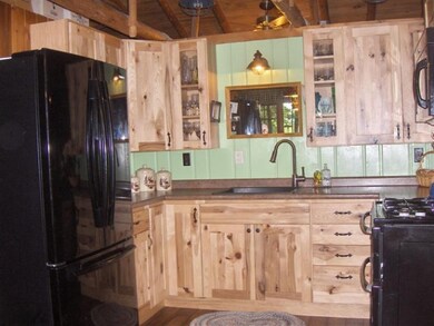 10804 S L Lakes View Dr, Baldwin, MI 49304 - photo 2