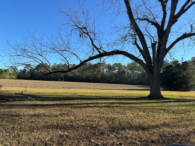 000 15th Ave Nw -- Tract 2, Cairo, GA 39828 - photo 2