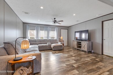 1206 Cypress Island Hwy, Saint Martinville, LA 70582 - photo 6