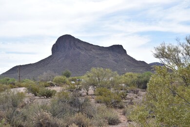 photos 005