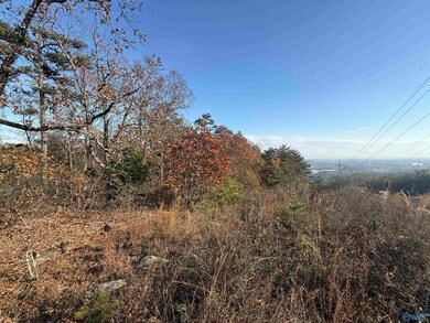 lot#0 County Road 70, Leesburg, AL 35983 - photo 4