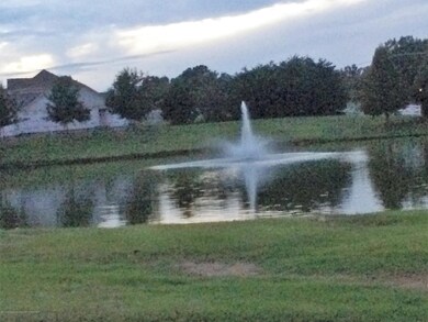 WALKING TRAILS