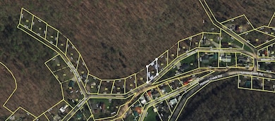 0 Loftis Gap Rd unit RTC3047802, Smithville, TN 37166 - photo 3