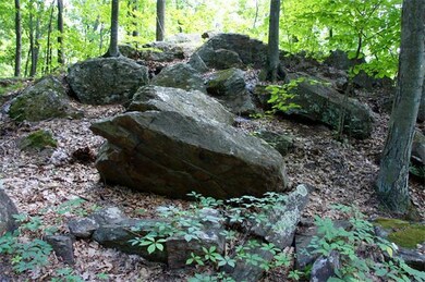 0 Cleaves Hill Rd, Harvard, MA 01451 - photo 7