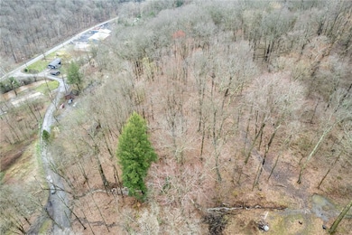 0 Platt Rd, Hanover Township, PA 15026 - photo 6