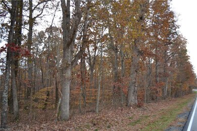 15 Acres N Carolina Highway 704 E, Sandy Ridge, NC 27046 - photo 3