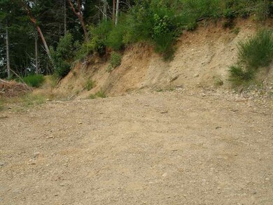 4580 E State Route 106, Union, WA 98592 - photo 4