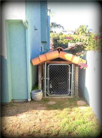 Dog Run