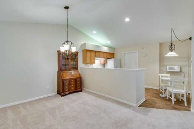833 Havenshire Rd unit 833, Naperville, IL 60565 - photo 7