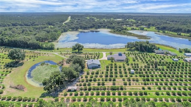 16982 SE Highway 42, Weirsdale, FL - photo 5