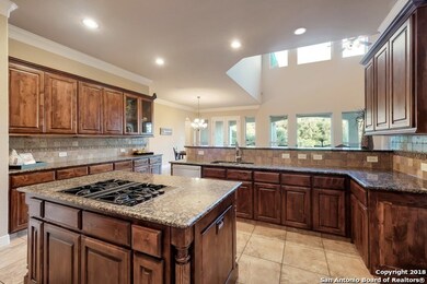 706 Ruidosa Downs, Helotes, TX 78023 - photo 5