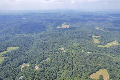 19351 Unger Road (2)