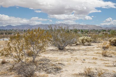 IMG_0118