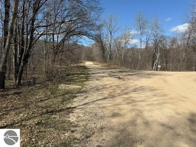 0 Ticino Dr unit 353 1932968, Reed City, MI 49677 - photo 3