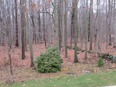 20 Bramble Way, Cheshire, CT 06410 - photo 4