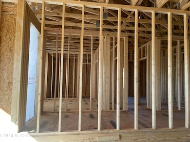 5819 Caldwell Rd, Loudon, TN 37774 - photo 4