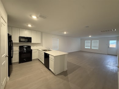 835 Ginkgo Way, Princeton, TX 75407 - photo 4