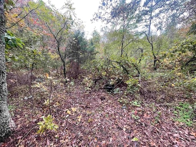 000 Prim Rd, Prim, AR 72130 - photo 5