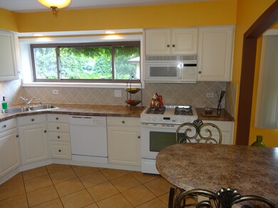 1801 Dexter Ln, Des Plaines, IL 60018 - photo 5