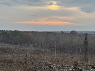 TBD Cr 442, Paris, MS 38949 - photo 5