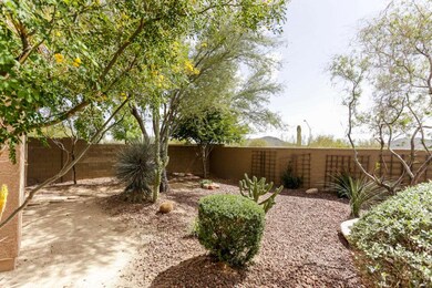 Side Yard