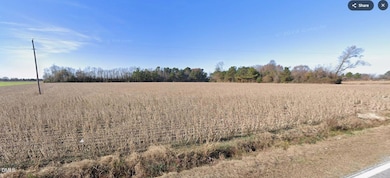 000 Green Path Rd, Dunn, NC 28334 - photo 2