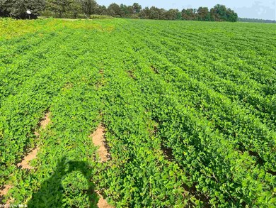 04 Alabama 21, Atmore, AL 36502 - photo 6