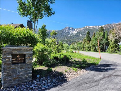 1157 Red Peak Dr, Mammoth Lakes, CA 93546 - photo 5