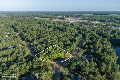 4 Drone View (1 of 9)