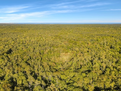 Lot Overview