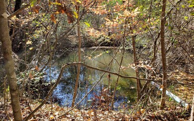 0 Toccoa River Forest unit 297130, Mineral Bluff, GA 30559 - photo 4