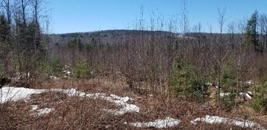 Land/Lot