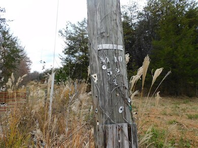 3.82 Ac Brights Rd, Gretna, VA 24557 - photo 4