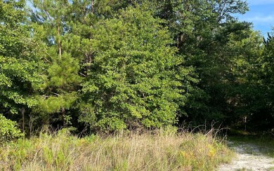 772 NW Country Lake Dr, Lake City, FL 32055 - photo 4