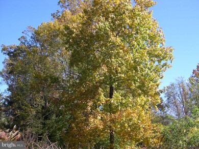 14429 MacAfee Hill Rd, Cascade, MD 21719 - photo 4