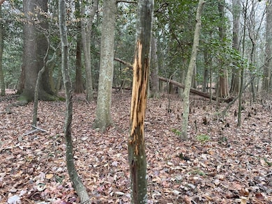 000 Fleming Mill Rd, Pocomoke City, MD 21851 - photo 3